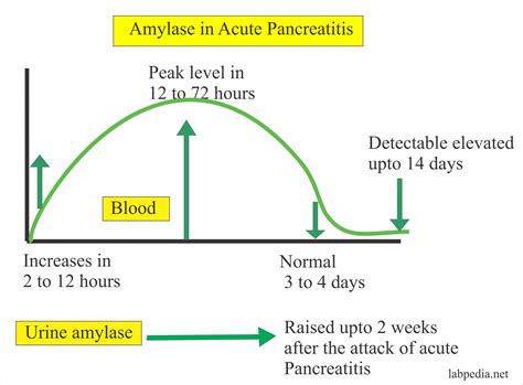 pancreatitis lipase vs amylase